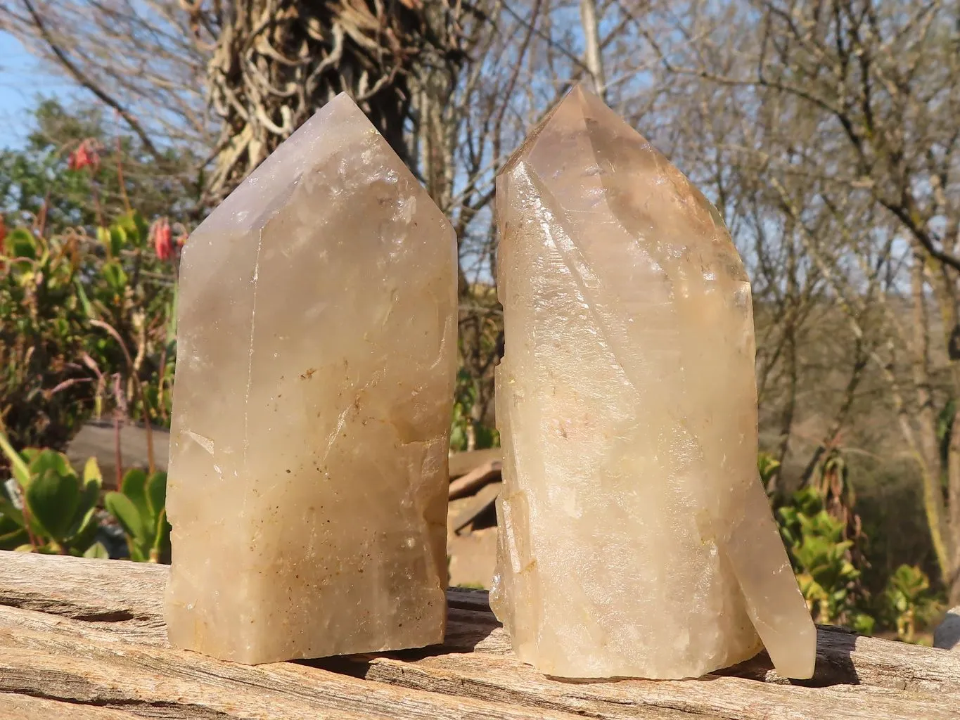 Polished Large Smokey Quartz Crystals x 4 From Angola