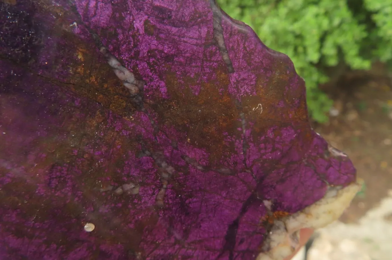 Polished On One Side Metallic Purpurite Specimens x 3 From Namibia