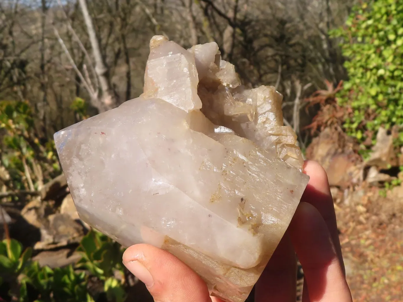 Polished Quartz Crystal Clusters x 2 From Angola