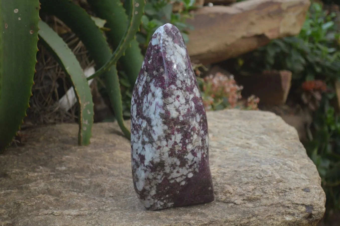 Polished Rubellite Pink Tourmaline Standing Free Forms x 1 From Ambatondrazaka, Madagascar