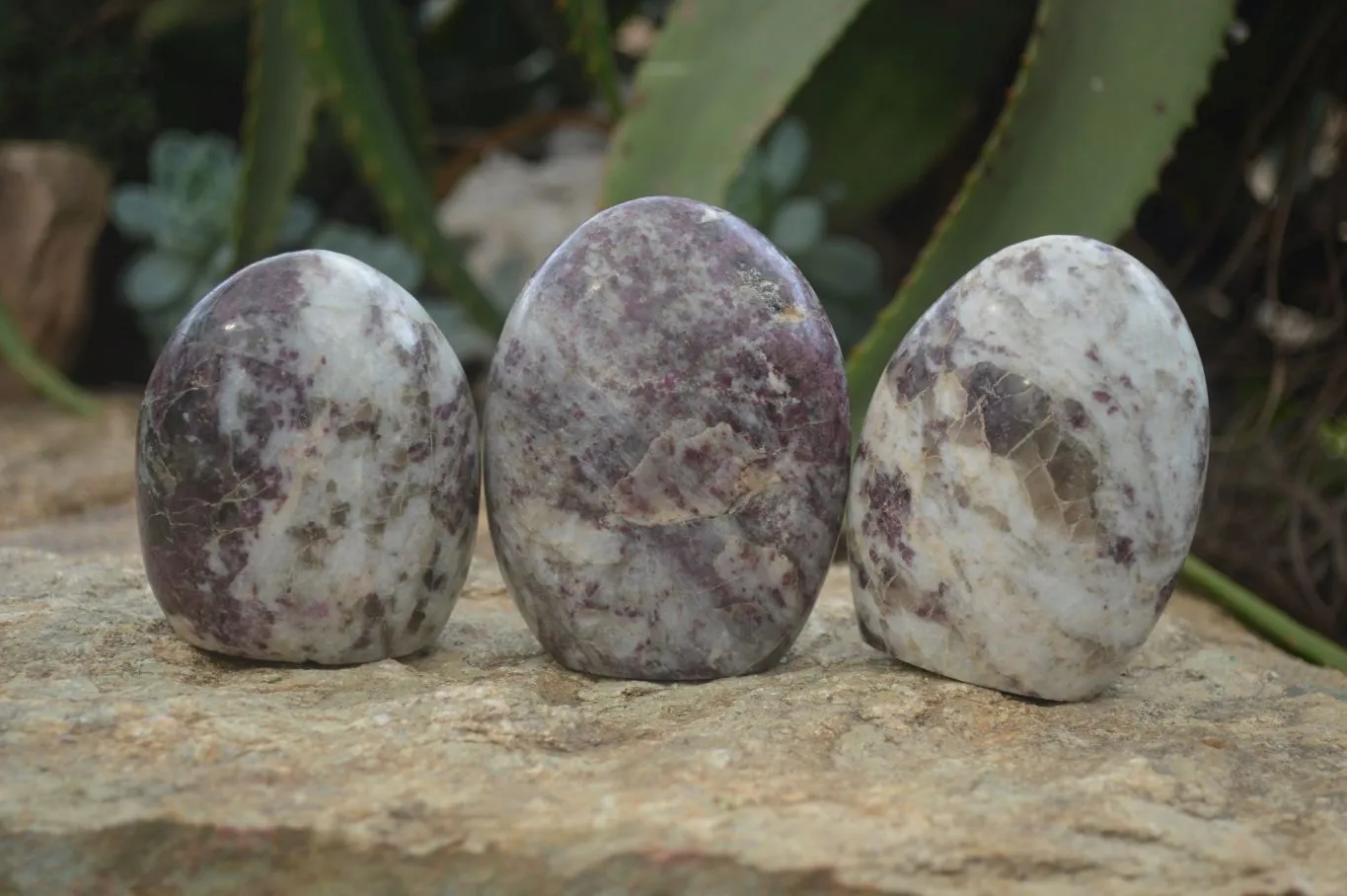 Polished Rubellite Pink Tourmaline Standing Free Forms x 6 From Madagascar