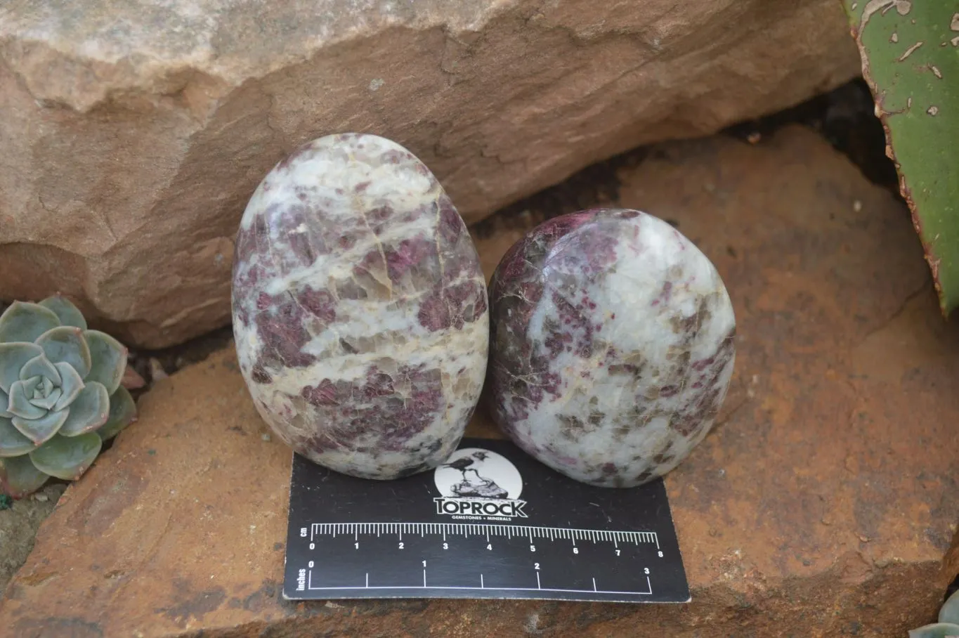 Polished Rubellite Pink Tourmaline Standing Free Forms x 6 From Madagascar