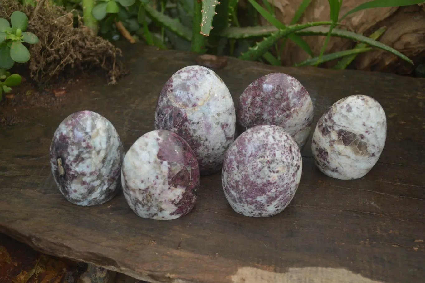 Polished Rubellite Pink Tourmaline Standing Free Forms x 6 From Madagascar