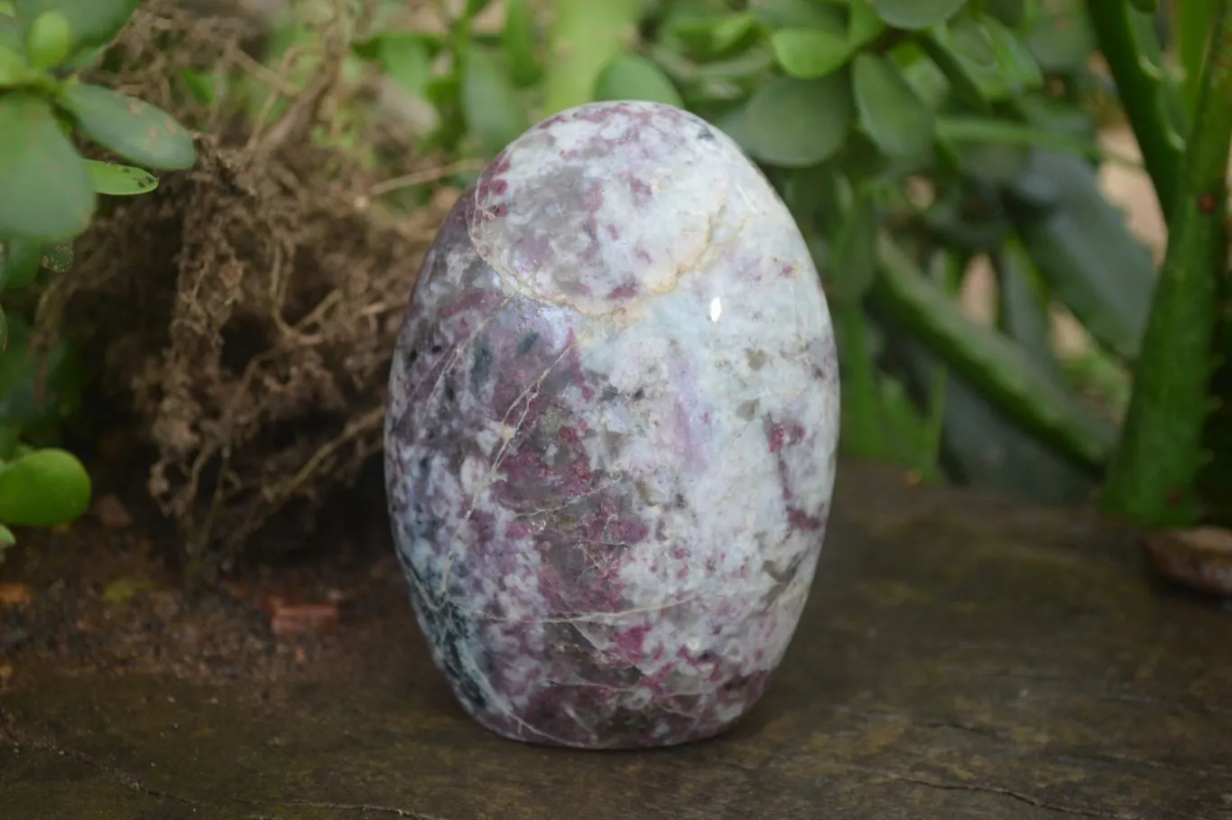Polished Rubellite Pink Tourmaline Standing Free Forms x 6 From Madagascar