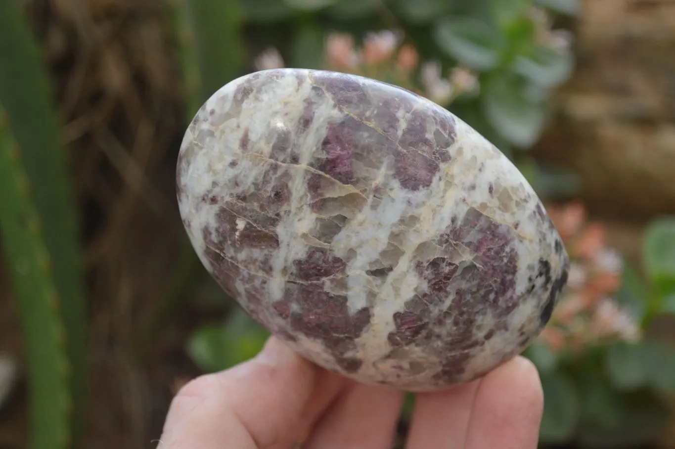 Polished Rubellite Pink Tourmaline Standing Free Forms x 6 From Madagascar