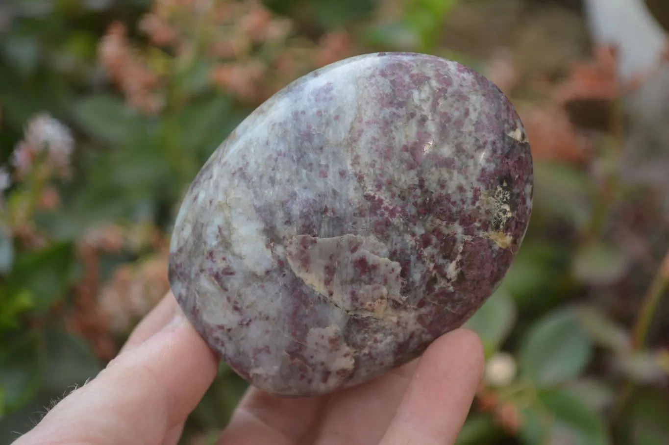 Polished Rubellite Pink Tourmaline Standing Free Forms x 6 From Madagascar