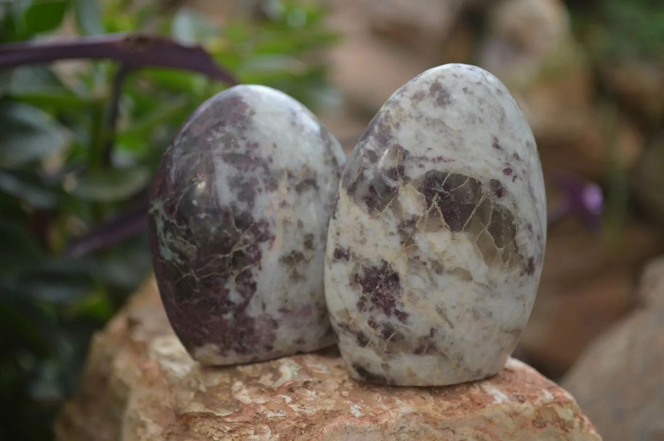 Polished Rubellite Pink Tourmaline Standing Free Forms x 6 From Madagascar