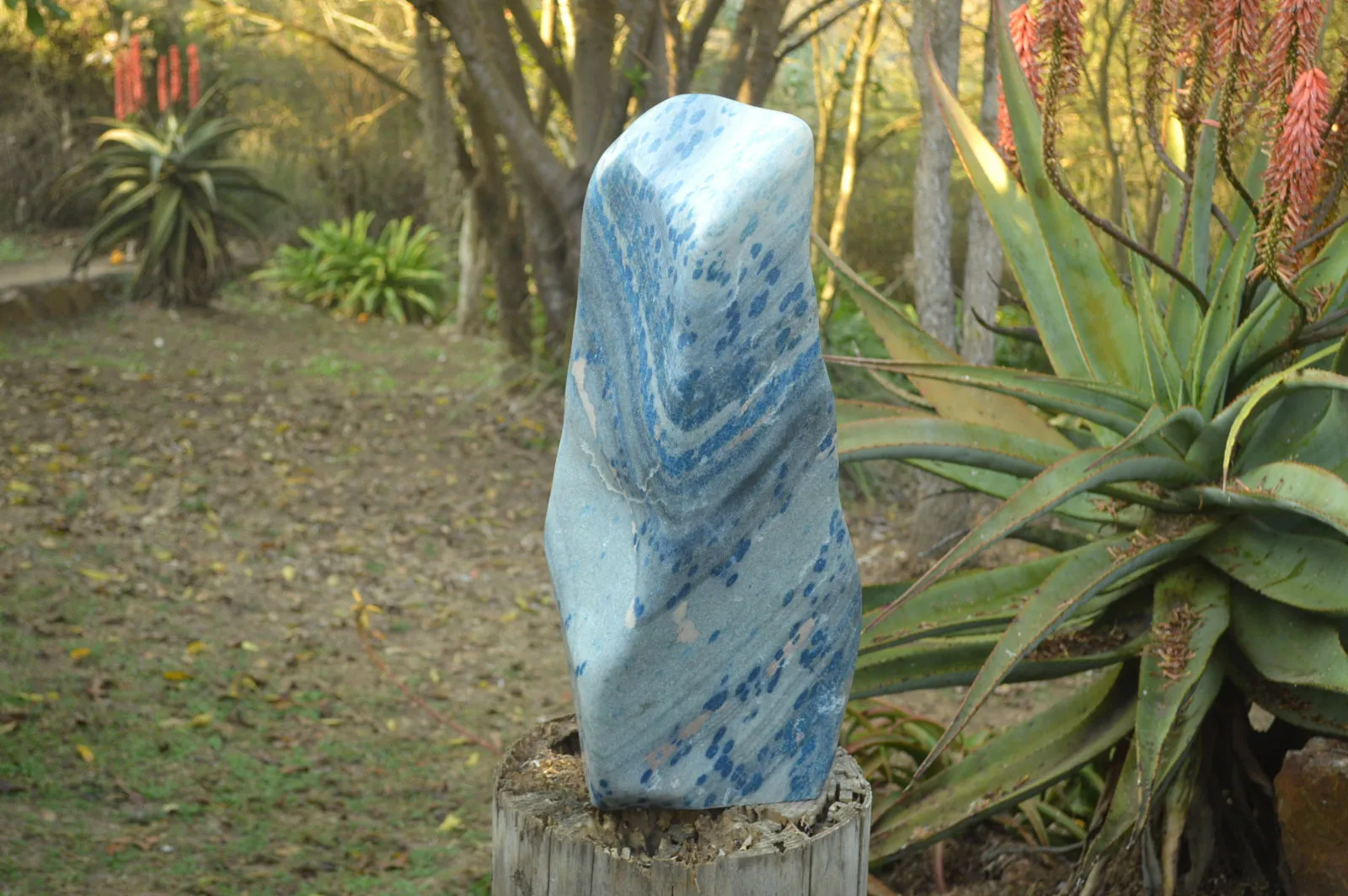 Polished XXL Blue Spotted Spinel "Dalmatian Stone" Display Piece x 1 From Madagascar
