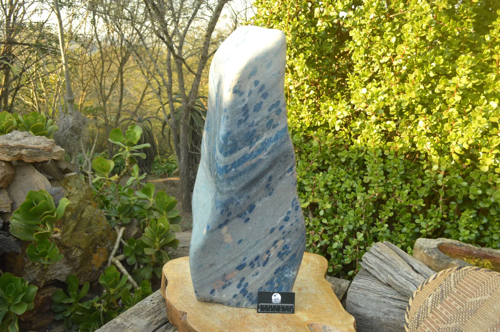 Polished XXL Blue Spotted Spinel "Dalmatian Stone" Display Piece x 1 From Madagascar