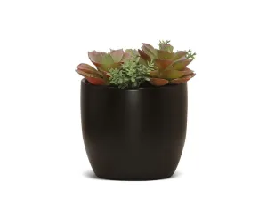 Potted Entryway Faux Succulent