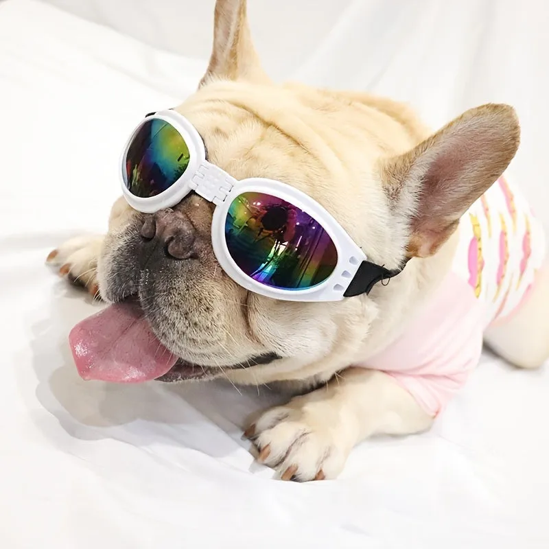Protective Outdoor Foldable Dog and Cat Glasses