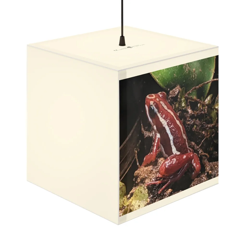 Red Frog Light Cube Lamp
