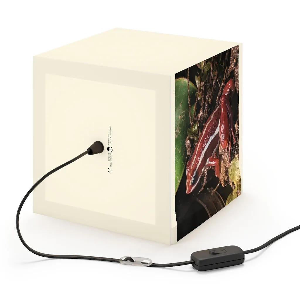 Red Frog Light Cube Lamp