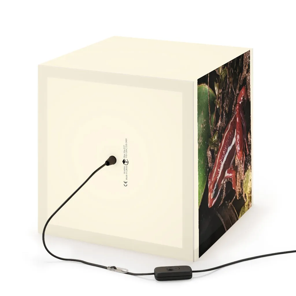 Red Frog Light Cube Lamp