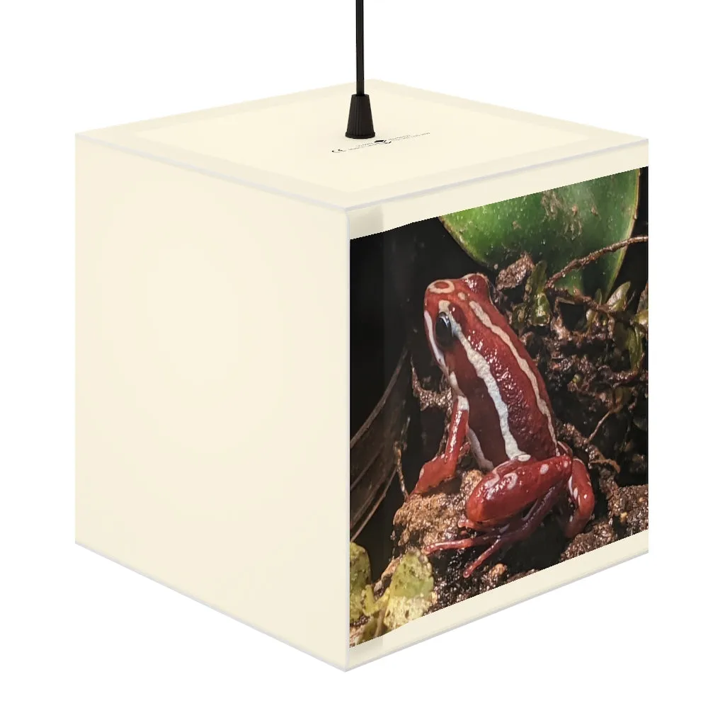 Red Frog Light Cube Lamp