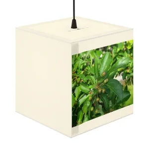 Seed and Green Leaves Personalized Lamp