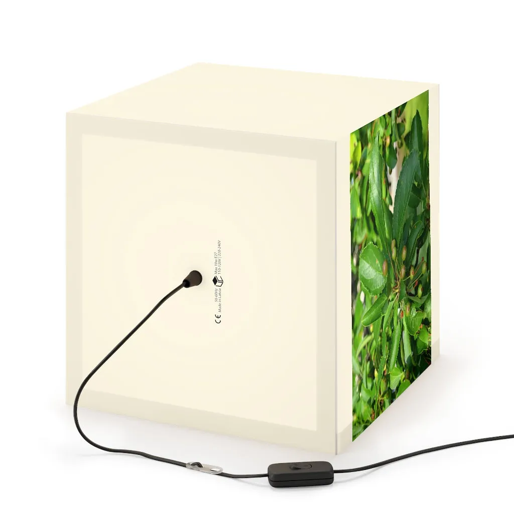 Seed and Green Leaves Personalized Lamp