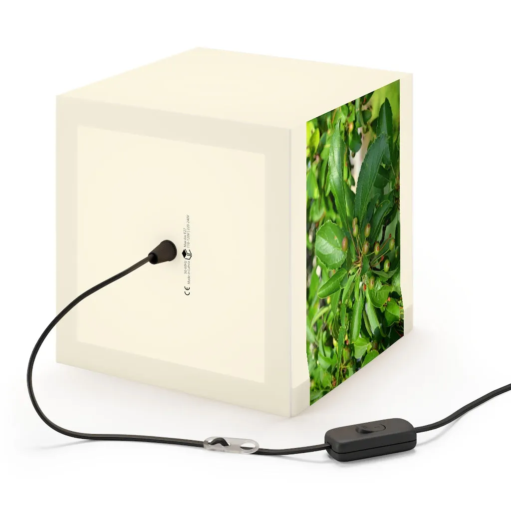Seed and Green Leaves Personalized Lamp