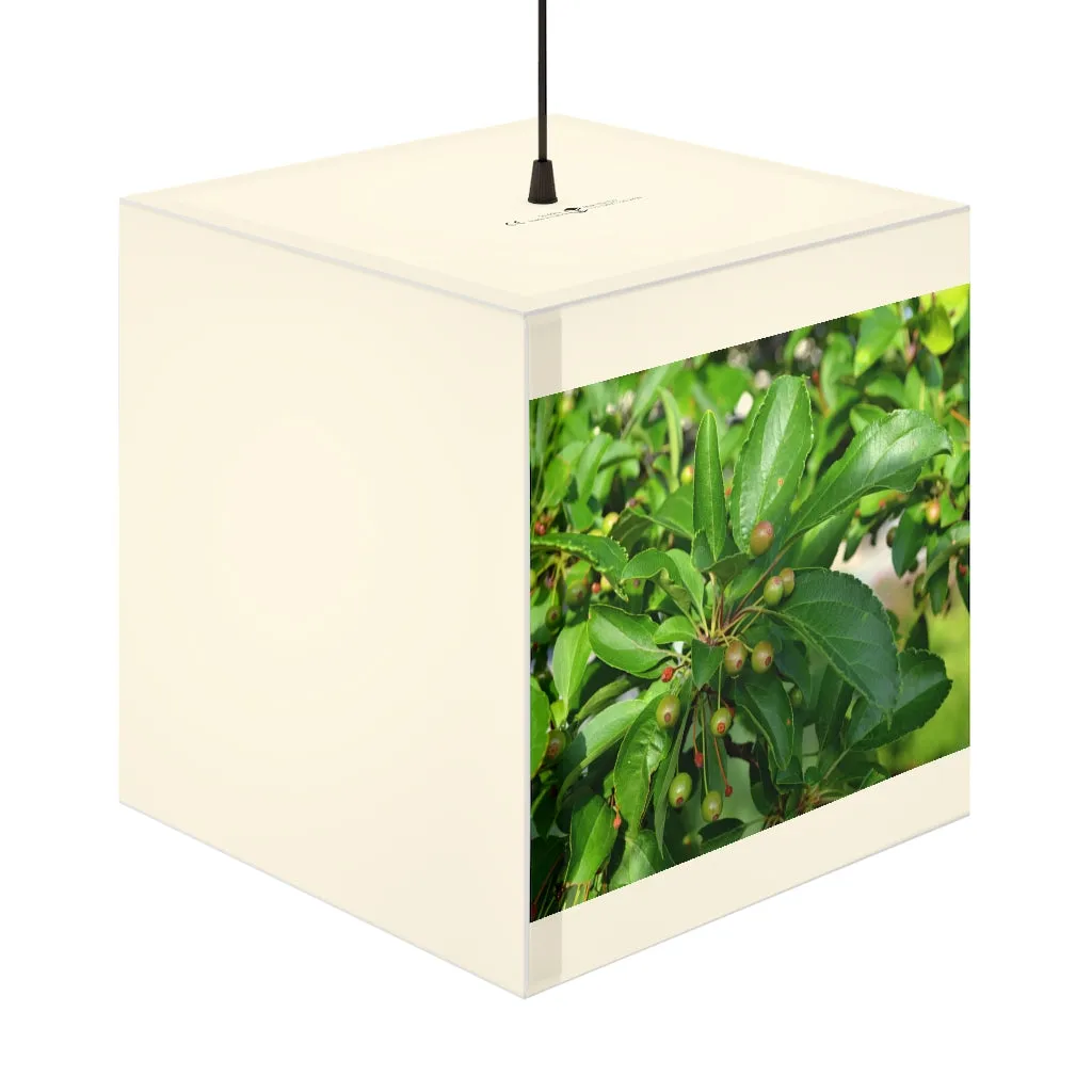Seed and Green Leaves Personalized Lamp