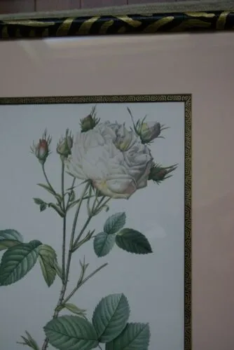 SIGNED UNIQUE DETAILED ARTIST HANDPAINTED FRAME MATTED REDOUTE PRINT ROSES RE6