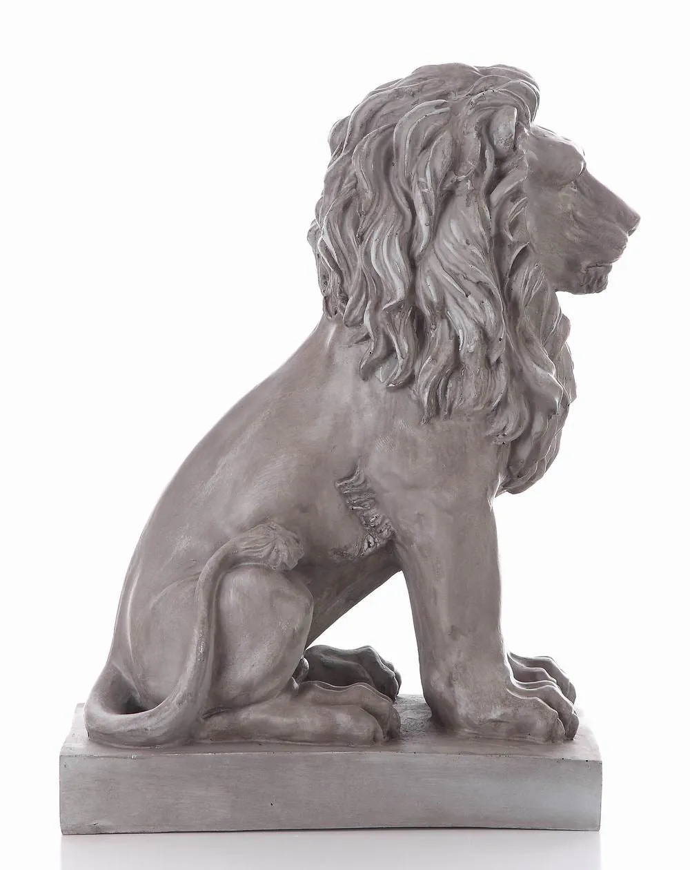Sitting Lion