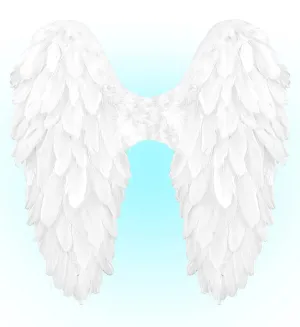 White Foldable Feather Wings 50x50cm