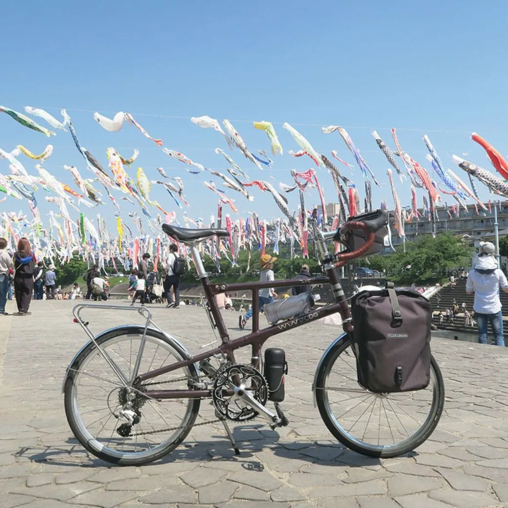 Windcog ZIC 20" 10.2kg Foldable Bicycle