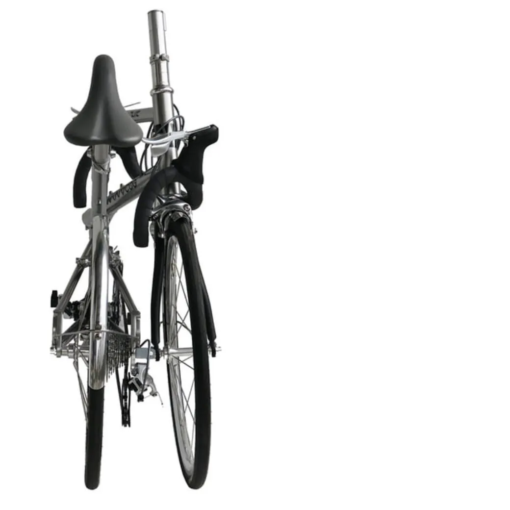 Windcog ZIC 20" 10.2kg Foldable Bicycle