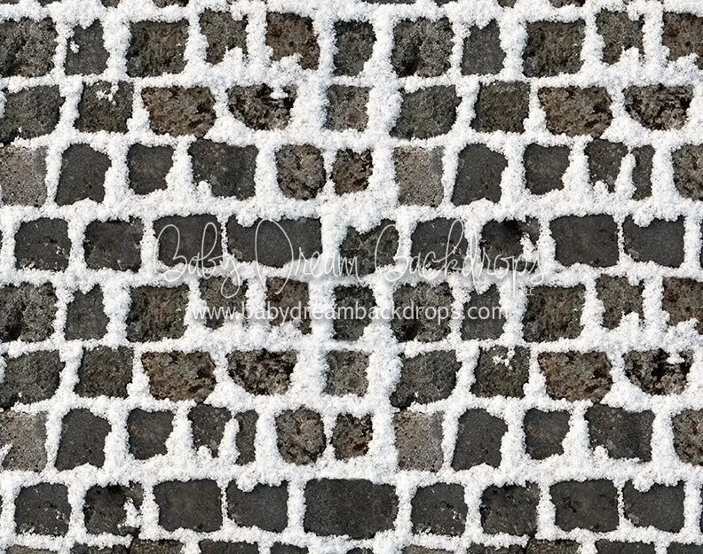Winter Pavers Floor-rf