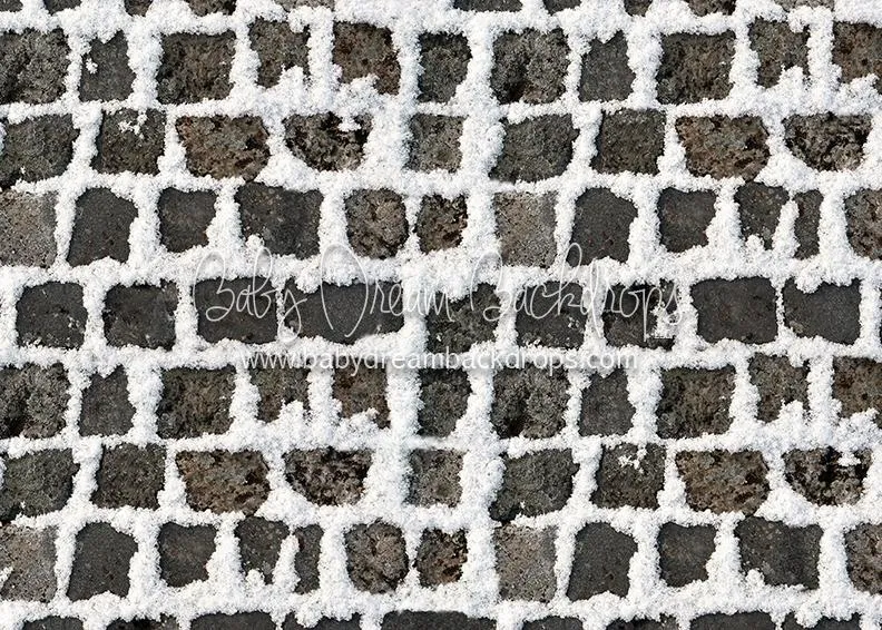 Winter Pavers Floor-rf